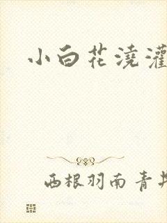 小白花浇灌日常