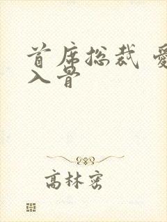 首席总裁 爱你入骨