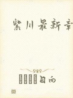 紫川最新章节