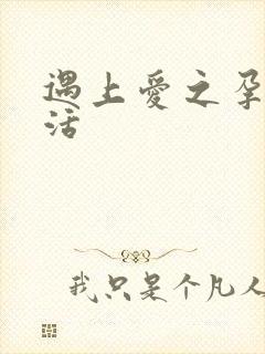 遇上爱之孕夫生活