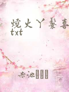 烧火丫鬟喜洋洋txt