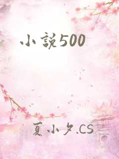 小说500