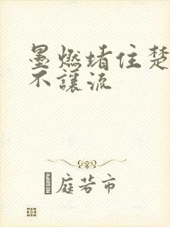 墨燃堵住楚晚宁不让流