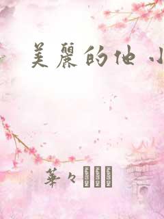 美丽的他 小说