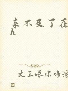 来不及了在车ch