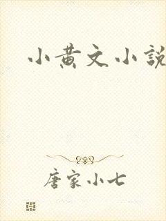 小黄文小说