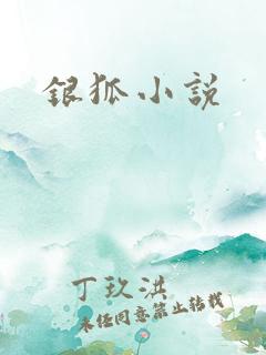 银狐小说