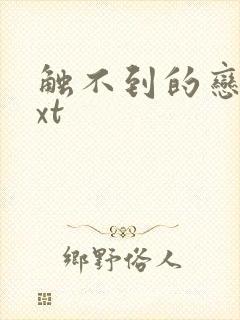 触不到的恋人txt