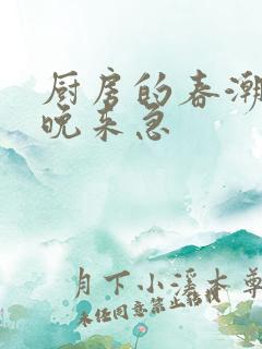 厨房的春潮带雨晚来急