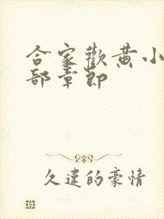 合家欢黄小梅全部章节