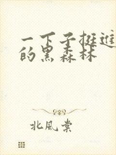 一下子挺进浓密的黑森林