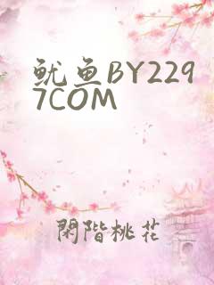 鱿鱼BY2297COM