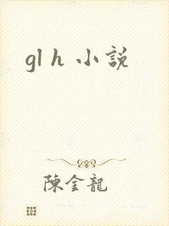 gl h 小说