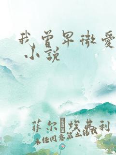 我曾卑微爱过你 小说