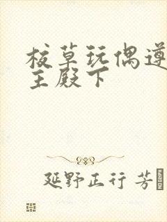 校草玩偶遵命公主殿下