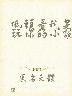 低头看我是怎么玩你的小说