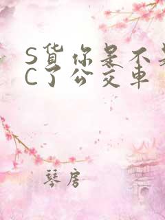 S货你是不是欠C了公交车