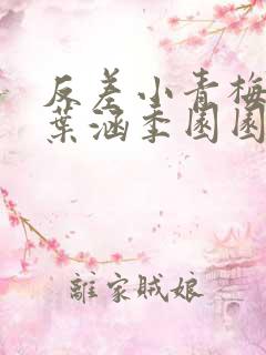 反差小青梅不经叶涵季园园全章