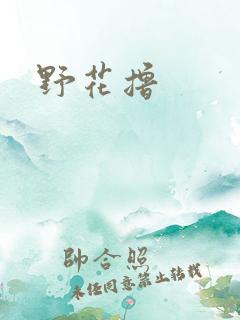 野花撸