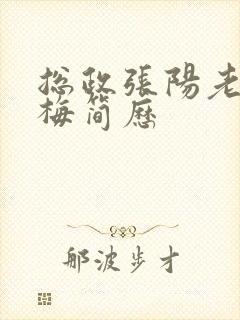 总政张阳老婆吕梅简历