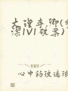 大理寺.卿(双洁1V1破案)