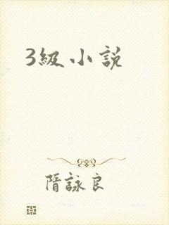 3级小说