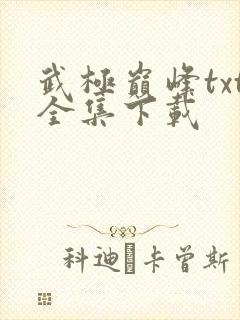 武极巅峰txt全集下载