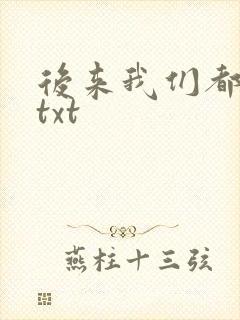 后来我们都哭了txt