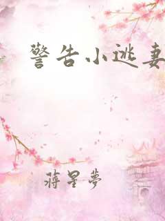 警告小逃妻