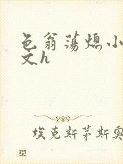 色翁荡熄小说全文h