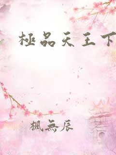 极品天王下载