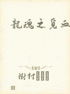 龙魂之觅血心缘