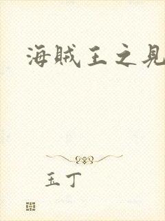 海贼王之见证者