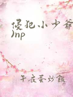 侵犯小少爷(H)np