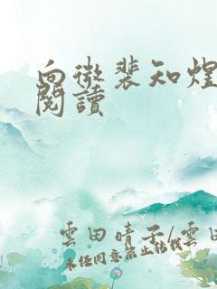 向微裴知煜免费阅读