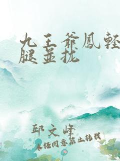 九王爷凤轻尘把腿并拢