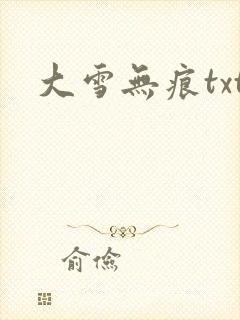 大雪无痕txt