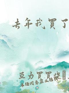 去年我买了个表