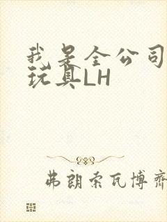 我是全公司发泄玩具LH