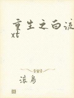 重生之白流苏txt
