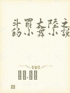 斗罗大陆之Y荡的小舞小说