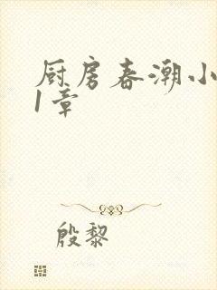 厨房春潮小说第1章