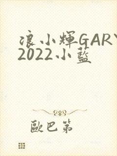 浪小辉GARY2022小蓝