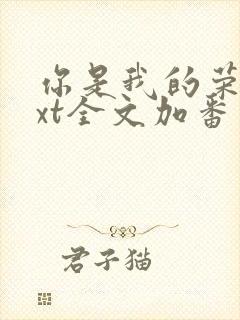 你是我的荣耀txt全文加番外