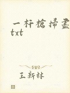 一杆枪扫尽全家txt