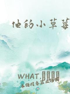 他的小草莓