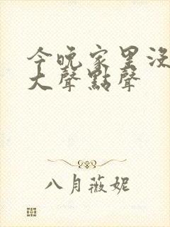 今晚家里没人叫大声点声