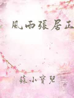 风雨张居正下载