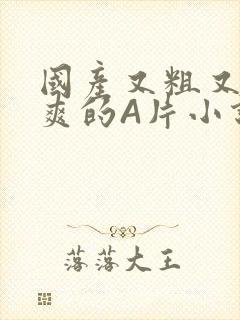 国产又粗又黄又爽的A片小说