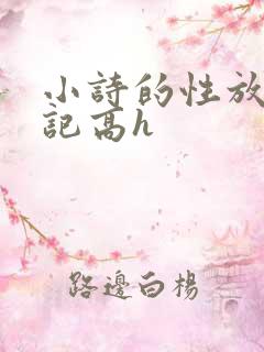 小诗的性放荡日记高h
